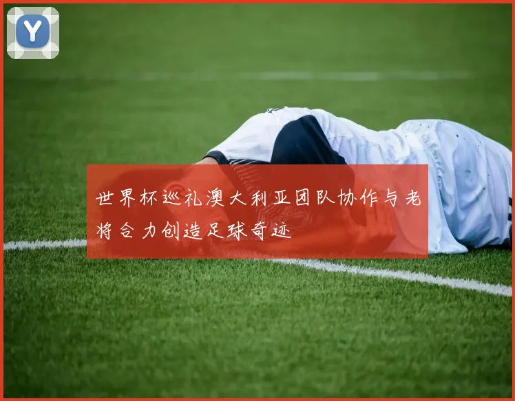 世界杯巡礼澳大利亚团队协作与老将合力创造足球奇迹